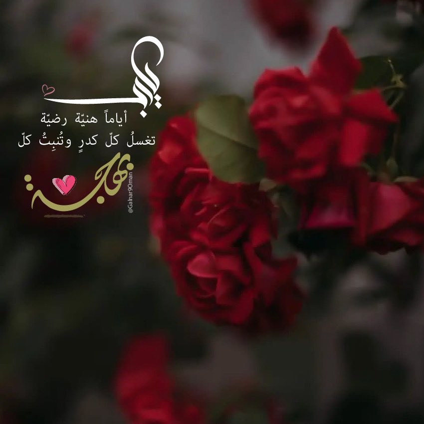 يا رب 💕🕊️