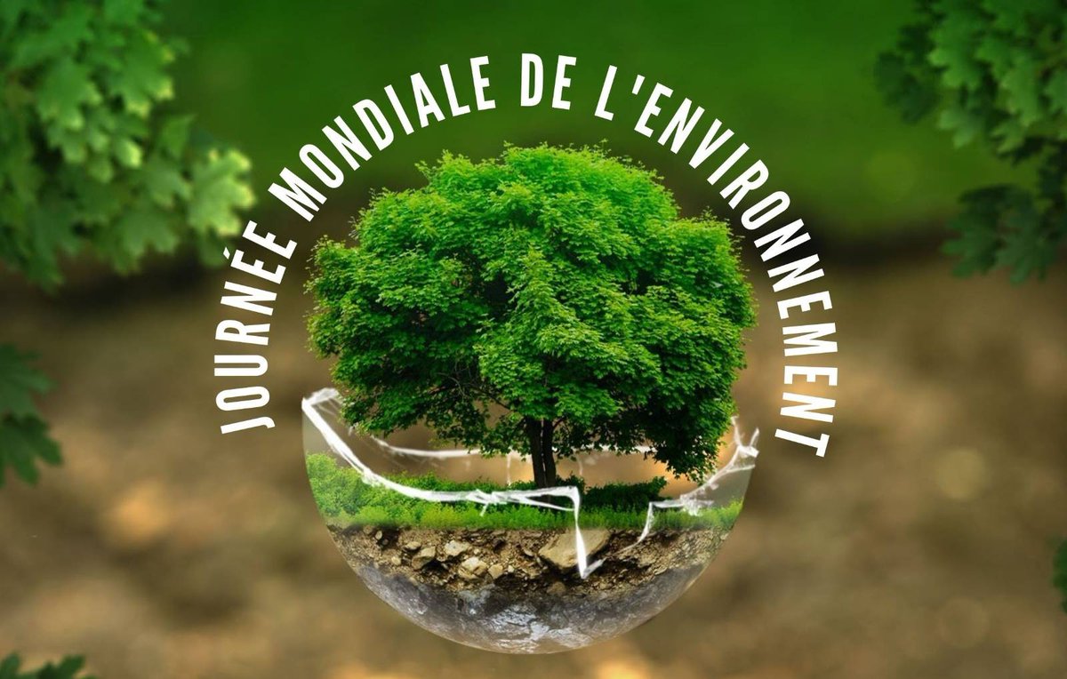 ElginAngelo's tweet image. Aujourd'hui, célébrons la Journée mondiale de l'environnement en prenant des mesures pour réduire notre empreinte plastique. Ensemble, protégeons notre planète ! #Environnement #Recyclage