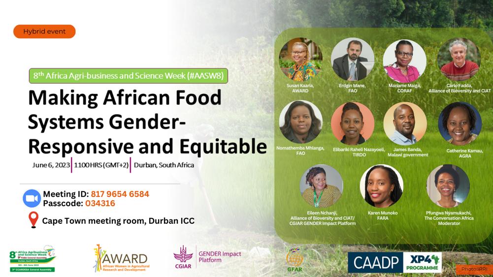 You can now join us live! 
Tune in tomorrow for our parallel session on 'Making African Food Systems Gender-Responsive for Equitable Livelihoods.'  
If you are at the #AASW8, join us at the Cape Town meeting room from 1100hrs. 🔗shorturl.at/pFT79
 #FoodSystems #CAADPXP4