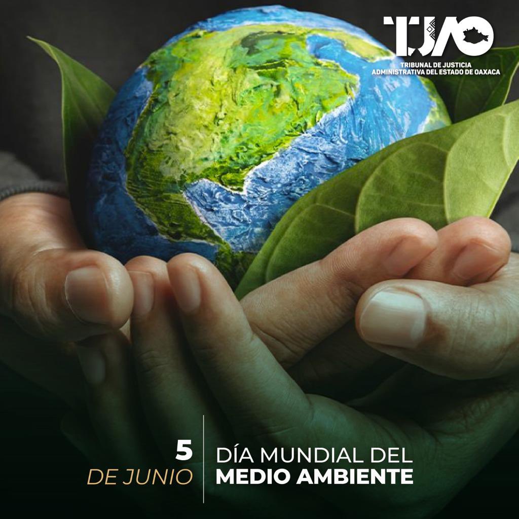 El 5 de junio se celebra el Día Mundial del Medio Ambiente, con el objetivo de sensibilizar a la población mundial sobre la necesidad de cuidar nuestros ecosistemas y fomentar el respeto al medio ambiente, con el fin de mejorar nuestra calidad de vida.