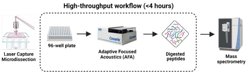 Akhilesh Pandey Lab tweet media