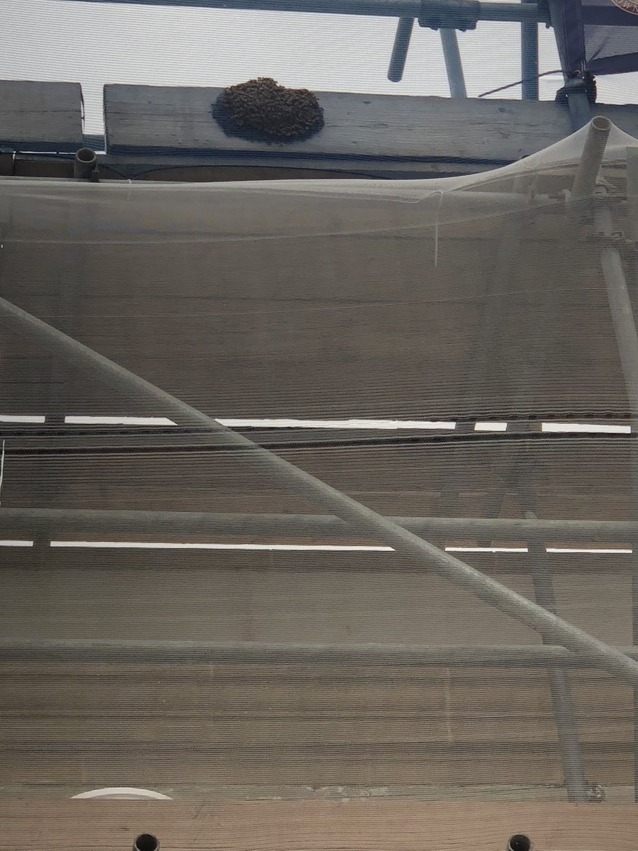 William Nunn tweet media