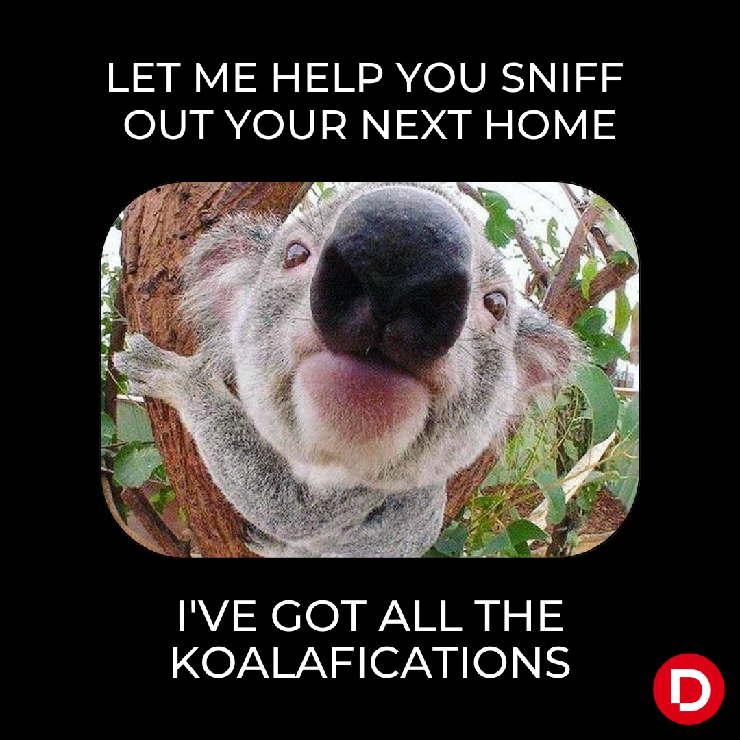 Koala-ty Tenant Relations: These koalas excel in fostering positive tenant relationships! 🐨
.⁠
.⁠
.⁠
#dyverse #dyversemarketing #kyzen #symple #wyse #multifamily #apartment #digitalmarketing #trafficgeneration #digitalmarketingmemes #viralcontent #viralcampaigns
