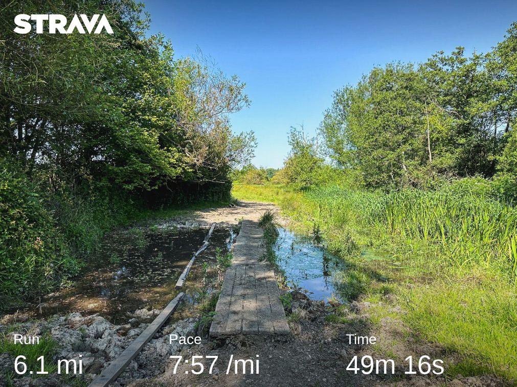LittleJoeRunner's tweet image. Another part of the country I’ve never explored before until today, Eastleigh. I found a cracking trail route, some of it a bit overgrown resulting in lots of nettle stings, but great run nonetheless.