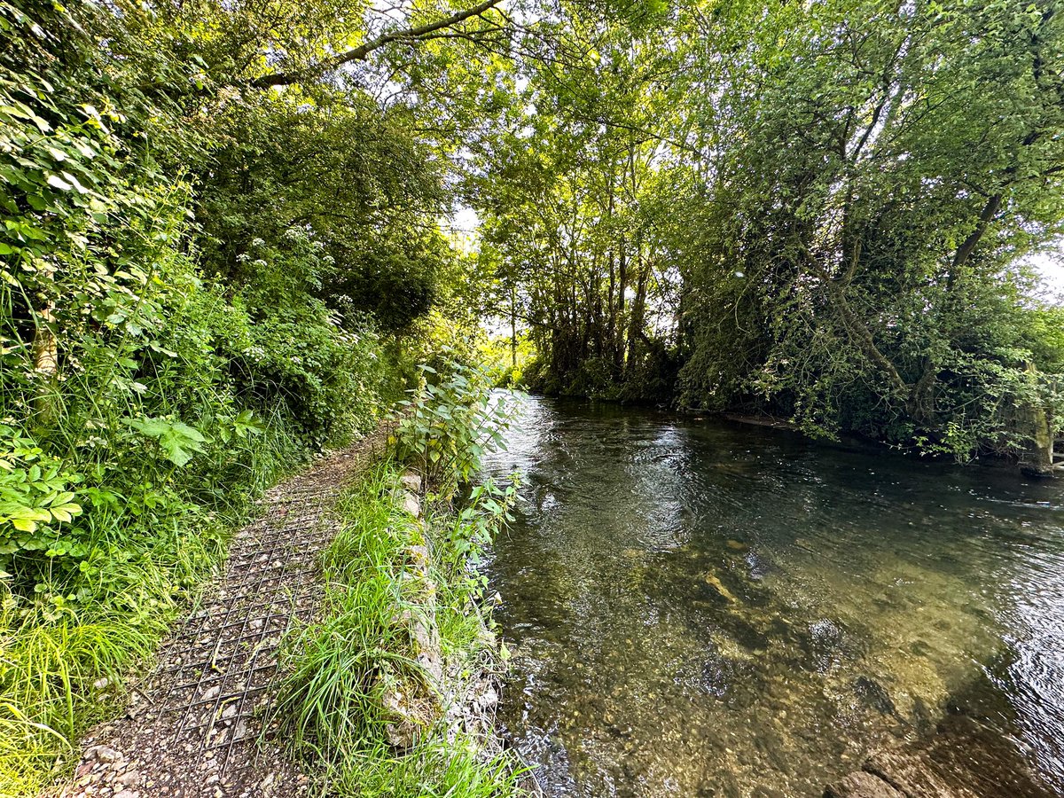 LittleJoeRunner's tweet image. Another part of the country I’ve never explored before until today, Eastleigh. I found a cracking trail route, some of it a bit overgrown resulting in lots of nettle stings, but great run nonetheless.