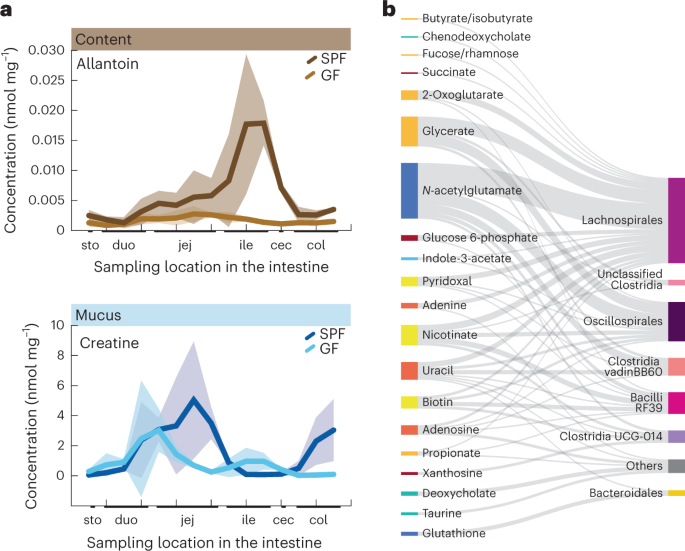 Online now! Metabolomics identifies the intestinal geography of microbial metabolite production dlvr.it/SqBf7r