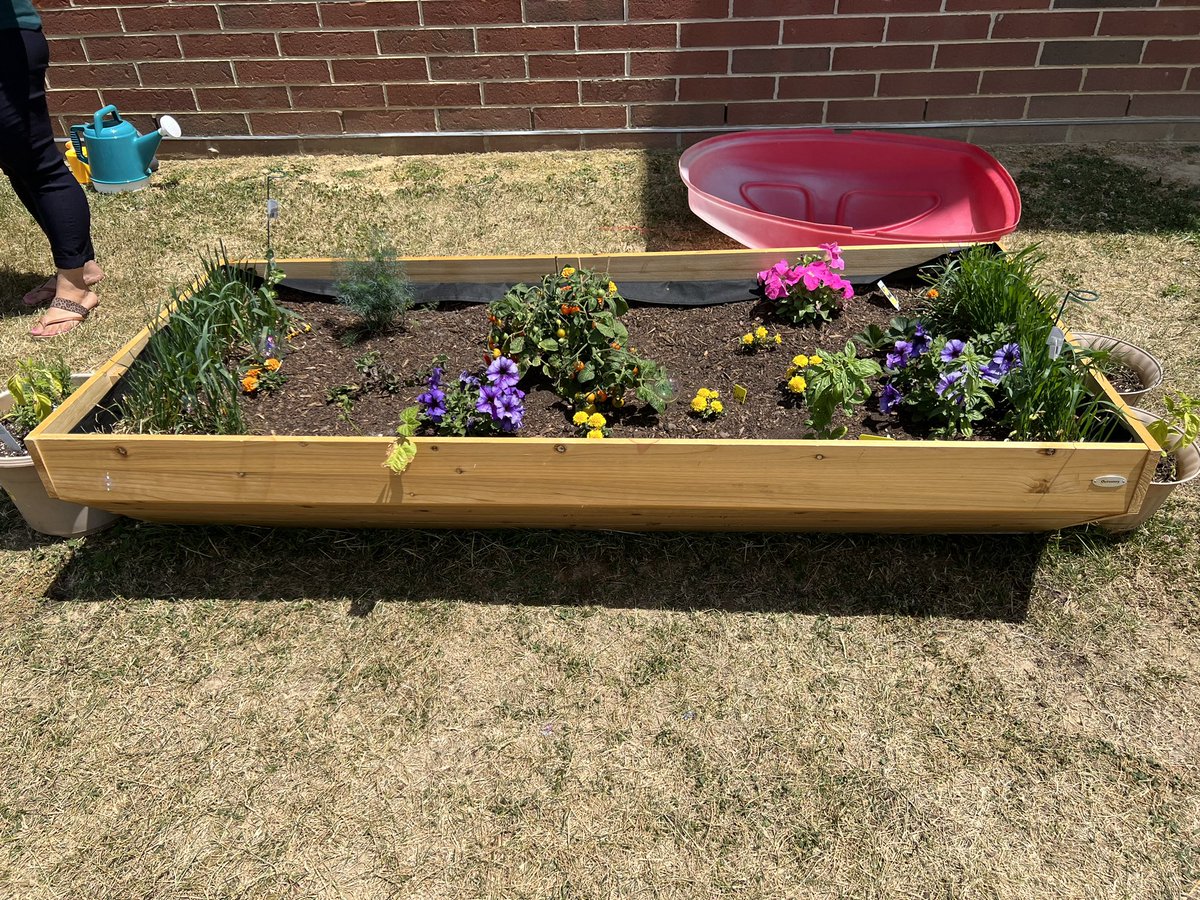 Talk about a real life learning experience! 

Our foundations team made a caprese salad and mint lemonade from the fruit and herbs they grew in this garden.