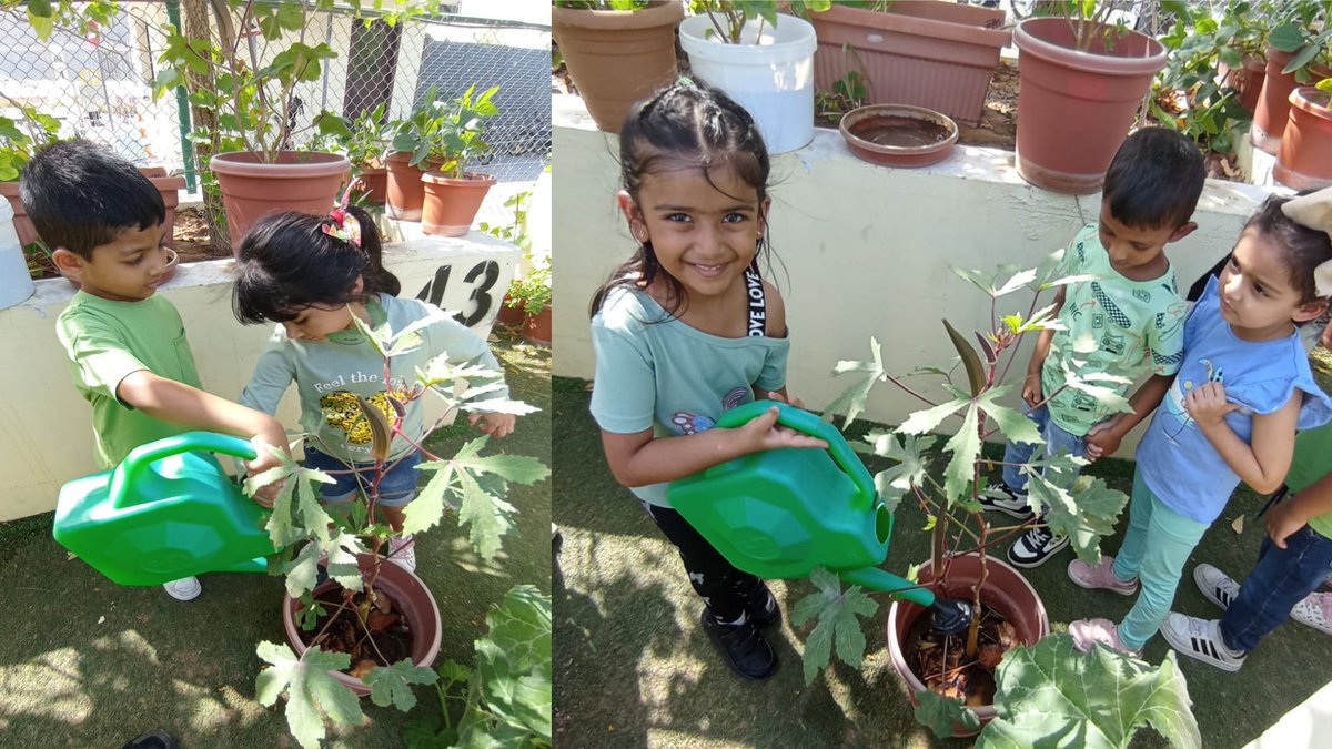 Ria Devyani (@devyaniria) on Twitter photo #KG2BOptimisticOctopus🐙 celebrated #WorldEnvironmentDay2023 by watering the plants in their favourite #NMSZenGarden <a href="/MichelleVerghe1/">Michelle Verghese</a> <a href="/gemsnms_alkhail/">GEMS NMS Alkhail</a> <a href="/NMSKindergarten/">NMS Kindergarten</a> #KG2BOptimisticOctopus🐙 celebrated #WorldEnvironmentDay2023 by watering the plants in their favourite #NMSZenGarden <a href="/MichelleVerghe1/">Michelle Verghese</a> <a href="/gemsnms_alkhail/">GEMS NMS Alkhail</a> <a href="/NMSKindergarten/">NMS Kindergarten</a>