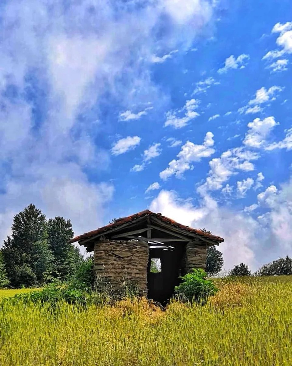 شادمانی را ؛ #درددل . .