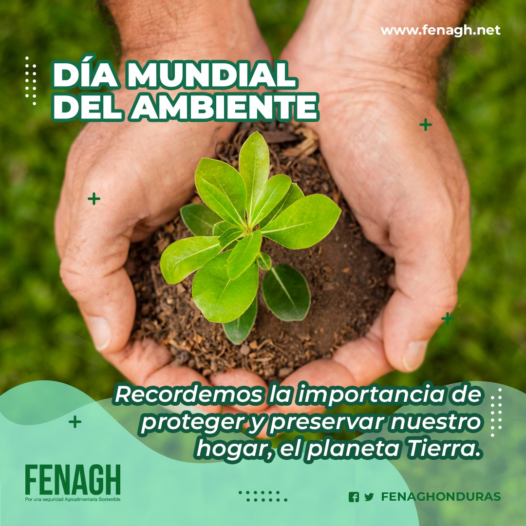 En el Día Mundial del Ambiente, recordemos que todos somos guardianes de nuestro hogar, el planeta Tierra. Cada acción que tomamos, por pequeña que sea, tiene un impacto en nuestro entorno. ¡Cuidemos y protejamos nuestro ambiente, hoy y todos los días! 🌍🌿

#FENAGH
