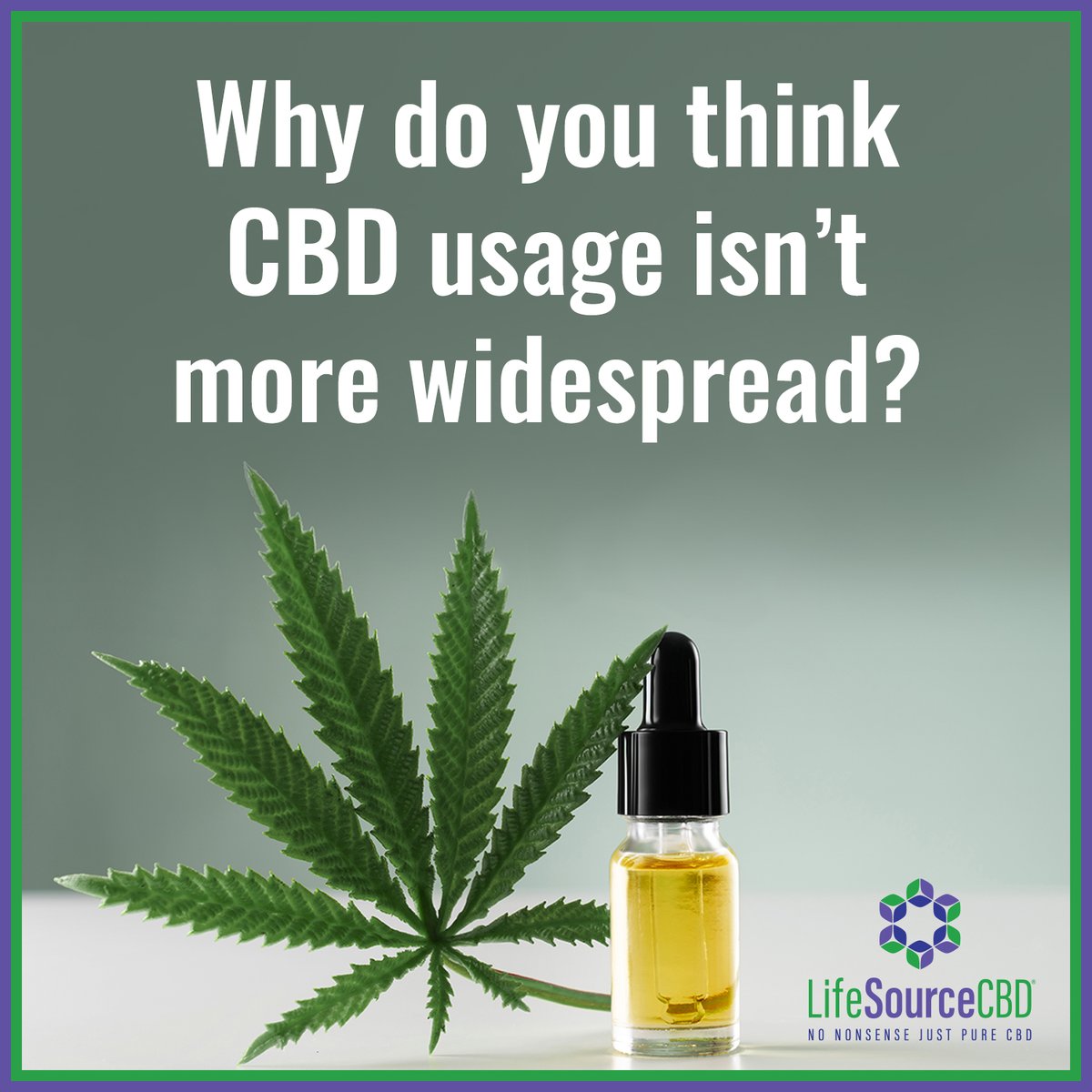 lifesourcecbd's tweet image. CBD has gained immense popularity for its natural benefits, but have you ever wondered why its usage isn't more widespread? 

Share your thoughts and let's explore together!

#cbd #thc #hemp #cannabiscommunity #cbdoil #cbdhealth #cbdproducts #cannabisculture #cbdlife