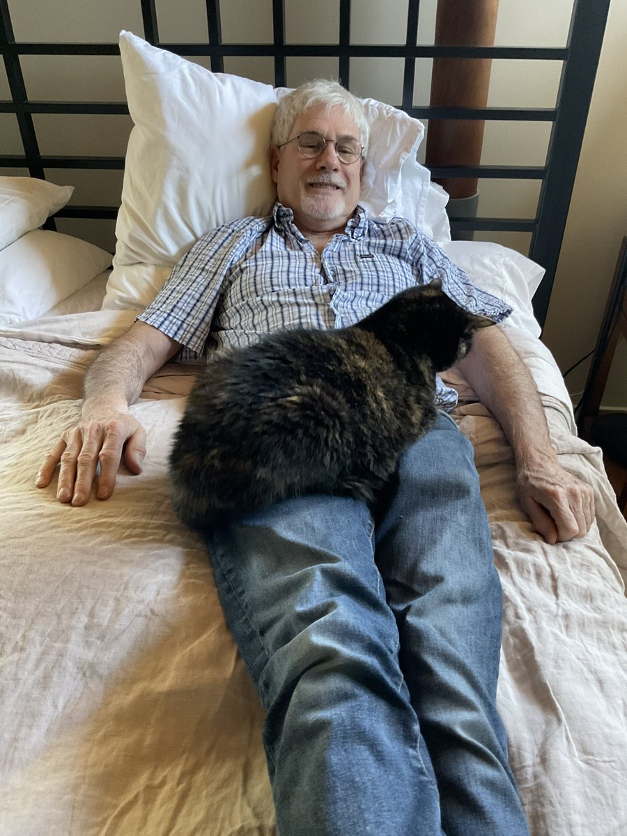 Dennis King 𒈗🇺🇦 tweet media