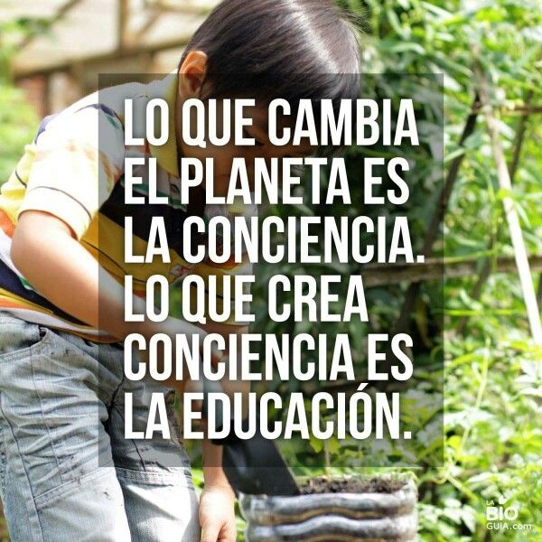 DiamelaLpez4's tweet photo. Educar es tarea de todos . Lindo día a quienes hacen cada segundo por un mundo mejor y más protegido. #Cuba aprendió la lección del mejor maestro #FidelCastro . https://t.co/AUZrVvummj