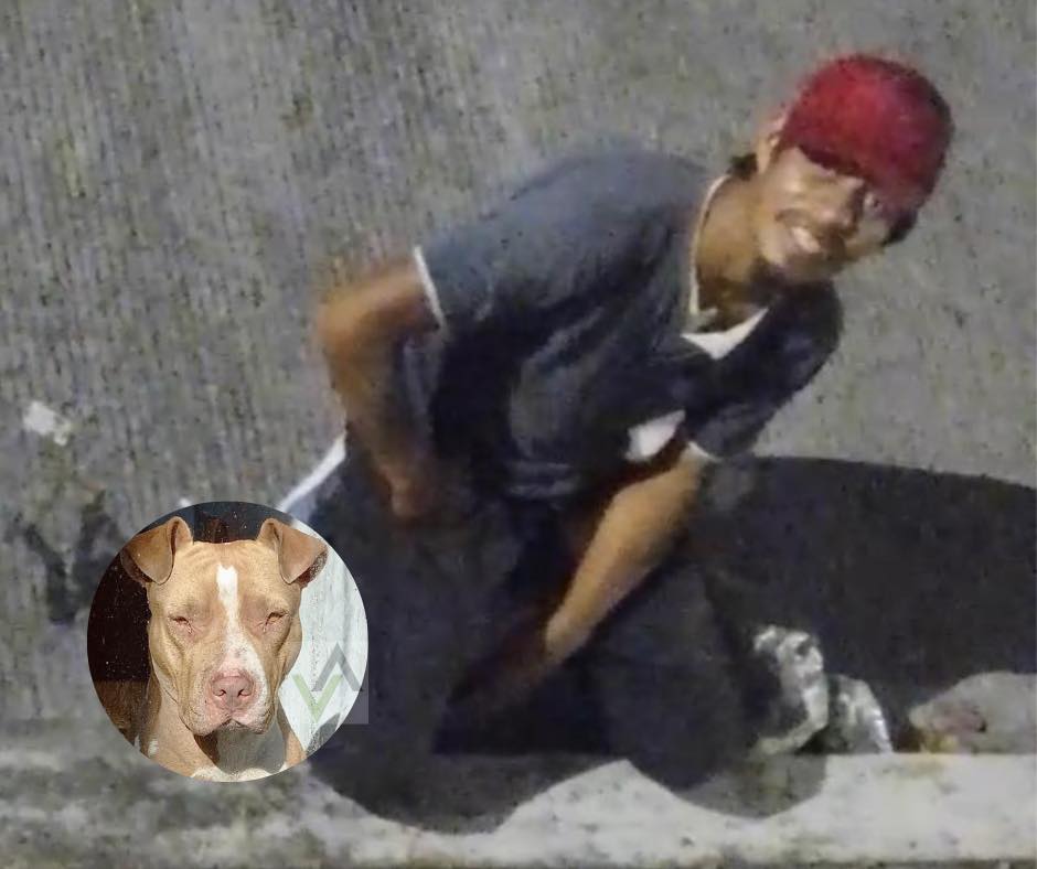 Luna fue víctima de agresión sexual por un hombre en #Xalapa 📷 

veracruzalterno.com.mx/2023/06/05/ale…