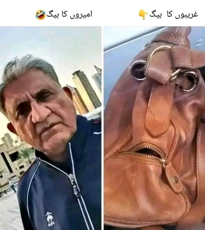 SSGCommander_'s tweet photo. فرانس میں جب نبی کریم صلی اللّٰہ علیہ وسلم کے توہین آمیز خاکے بنائے گئے تو باجوہ کے کہنے پر ایک مذہبی جماعت نے زبردست احتجاج کیا فرانس کے سفیر کو نکالنے کی بات کی آج وہی باجوہ اسی فرانس میں رہائش پذیر ہے 

کیا رٹائرمنٹ کے بعد باجوہ اسلام سے بھی رٹائر ہو گیا ہے؟  
#Bajwa https://t.co/kfKu5lYsPi