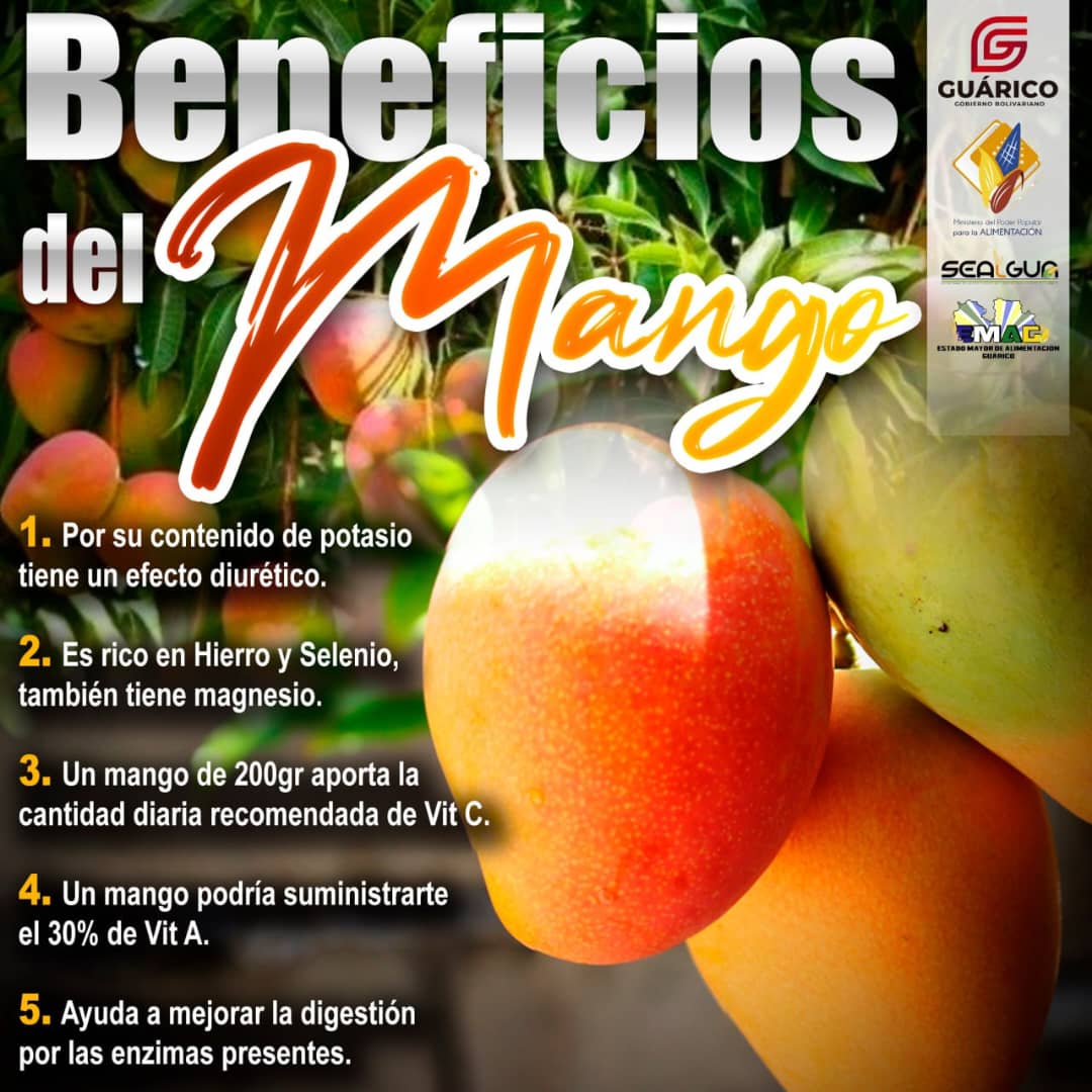 #SabiasQué estos son los beneficios que aporta el mango a nuestra salud ❓

Desde el municipio Roscio del Estado Guárico te lo contamos 📢

#5Jun
#MundoPluripolar