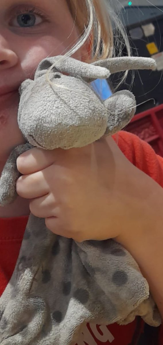 #lost today on Stagecoach bus 68, #blackpool to #Preston around 3.45pm
Please help #autistic and #NF1 child really misses Stinky!
<a href="/autcareandshare/">Autism care and share</a> @Depheruk @ChildhoodTT