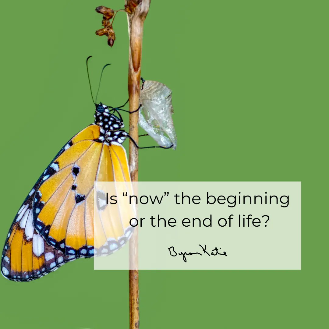 Is “now” the beginning or the end of life? xo bk ❤️

Join me live every M, T, W from 9-10 am PT: athomewithbk.com.

#theworkofbyronkatie #byronkatie #justbeginning #now #bepresent #inthemoment #questioneverything #journaling #journalprompt #gratitude #meditation #selfwork