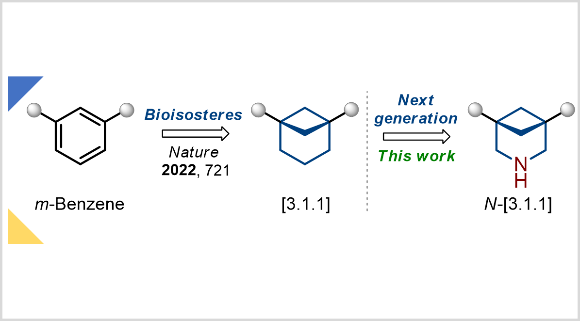 EnamineLtd's tweet photo. Check out our recent paper in @angew_chem, co-authored by Enamine chemists: “General Synthesis of 3-Azabicyclo[3.1.1]heptanes and Evaluation of Their Properties as Saturated Bioisosteres”.
https://t.co/DgXGX7K62j

Visit our website: https://t.co/MqZvDZ1BGE https://t.co/DrwlJL269r