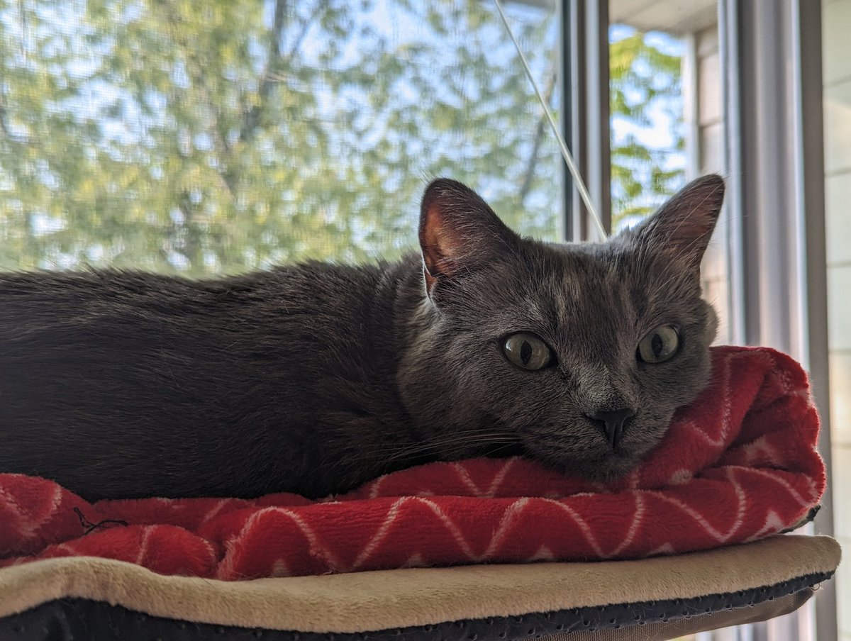 Some recent Margaret photographs: