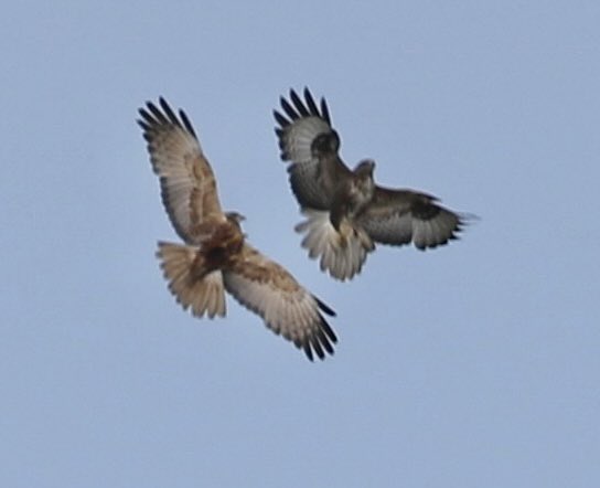 Frank Gardner on Twitter: