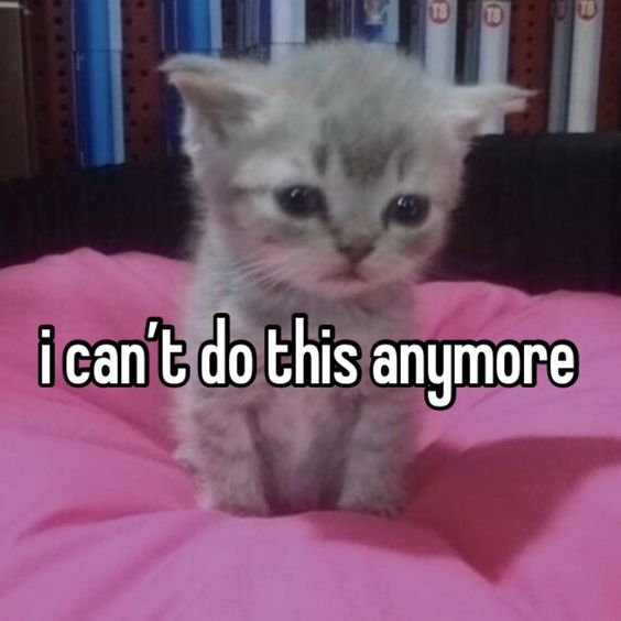 мне кажется я завтра не смогу защитить практику. я ничего не сдам. мне конец