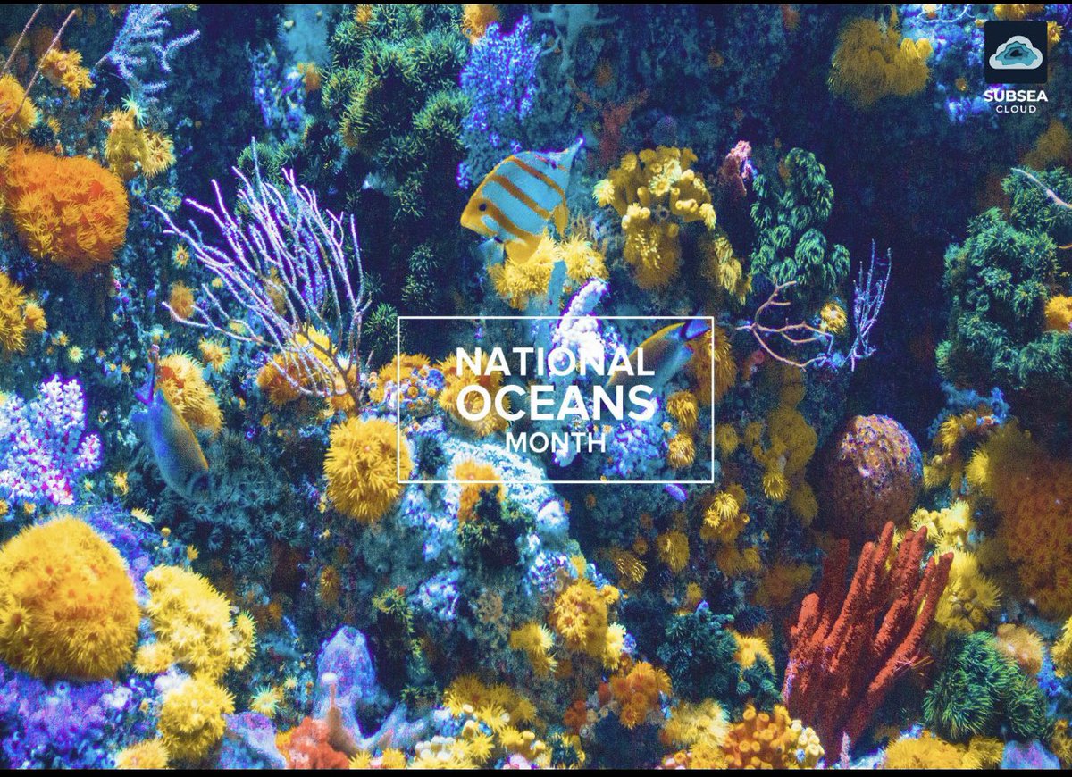 June is National Oceans Month and Subsea Cloud will be posting a weekly breakdown on how we affect the oceans and everything we do to protect them. Follow along! 

#NationalOceansMonth