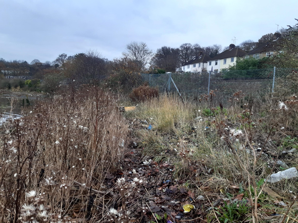 Today 5th June 2023 is #WorldEnvironmentDay 
The focus of <a href="/UNEP/">UN Environment Programme</a> this year is #BeatPlasticPollution 
Work in <a href="/BayChessel/">Chessel Bay Friends</a> #Southampton  is on-going as it is  globally elsewhere.