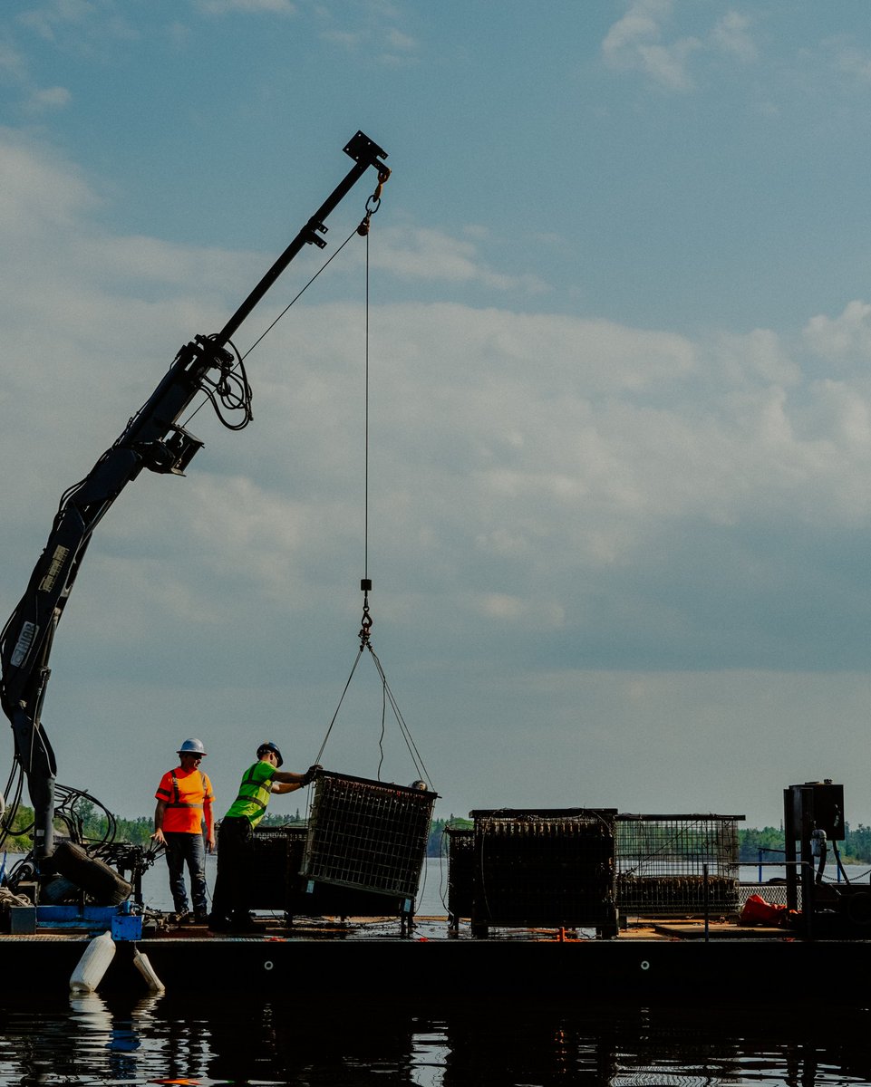 lowbrewco's tweet photo. After SEVEN months, 2023 Deep 6 has FINALLY EMERGED from the depths of LOTW!
Click the link to reserve your bottle ➡️ https://t.co/aCQ68mRQe7
Patiently waiting for your order? Keep your eyes peeled while our LowBrewCo. crew hustles to pack it up!
#makeitlaketime #Deep6 https://t.co/eF8L2KAtrg