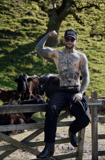 All Cows Are Beautiful  https://t.co/f77wKbezjm https://t.co/Ggiz76nwCV