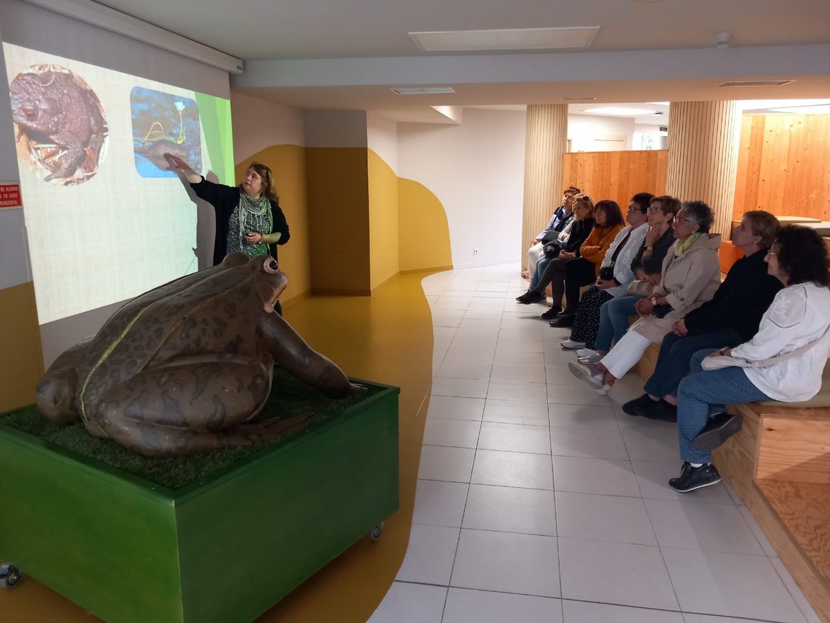 ForoSolidario's tweet photo. ¡No hemos podido elegir mejor día para visitar el @AulaMedAmb! En una de las visitas programadas de nuestro #ProgramaRECREA nos hemos acercado al centro de @Fundcajaburgos en el #DíaMundialDelMedioAmbiente 🌳
¡Gracias, Patricia por enseñarnos la exposición sobre anfibios 🐸! https://t.co/UzPA8eDsLN
