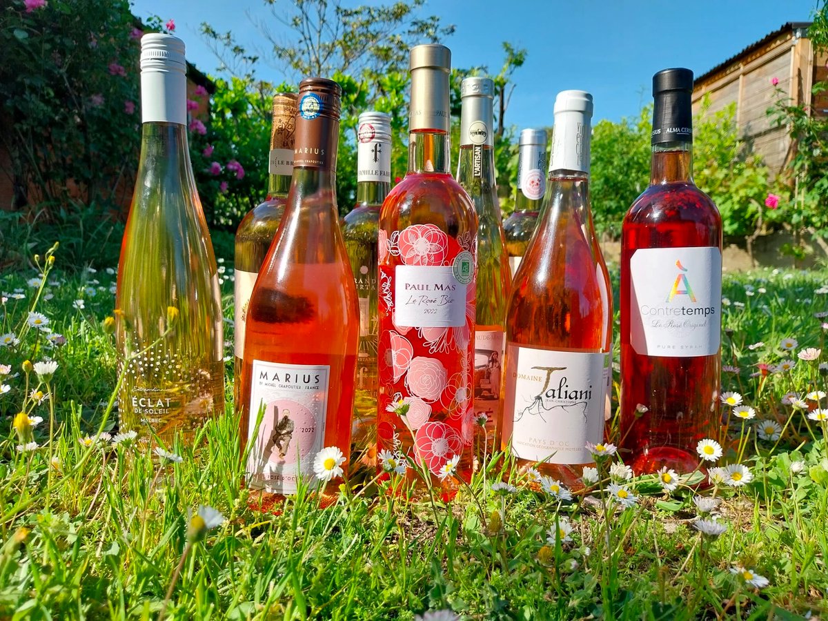 PressHargreaves's tweet photo. PRESS REVIEW 🗞️🇫🇷😎☀️🥂🇬🇧🍷 "La vie en rose: how the success of IGP Pays d’Oc rosé has exploded" by @TheBuyer11 👇
@PaysdOcIGPWines
https://t.co/JNcgLXFvee
#roséwine #pinkwine #paysdoc #paysdocigp #southoffrance #frenchwines #languedocroussillon #wineexport #winepr https://t.co/Te6GM7qAMd