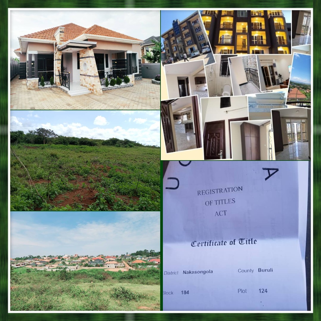 hamim39592675's tweet image. Your #Investment is Our #priority Are You looking for a #Plotonsale,#farmland,#house, #apartment, #commercialproperty or #ResidentialPlot both 4 sale/renting,Here!! With #HomesteadpropertyforConsultants We make it easy. Call/inbox (+256)
0754671914 / 0780960504
 DON'T BE STRESSED