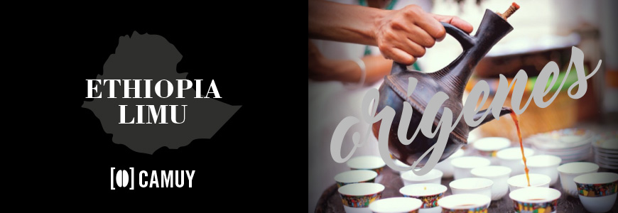 Etiopía es la cuna del árbol del café y el origen etimológico de la palabra proviene de la región de Kaffa. En esta zona el café recibe el nombre de Bun o Buni, de ahí que la mezcla de palabras “ Kaffa Bun” haya originado, probablemente la palabra inglesa Coffee Bean.