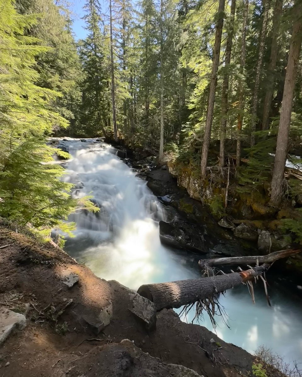 @LiveaMemory @MountRainierNPS @UnionGapWA @naturetechfam @59NationalParks @Chalkcheese111 @Abfabtravels @CharlesMcCool @BearGrylls @SteveKubota @TeamWilderness We have an abundance of trails to celebrate, experience, and appreciate. This weekend we explore the trail to Carter and Madcap Falls at Mount Rainier National Park. What a lovely trail!