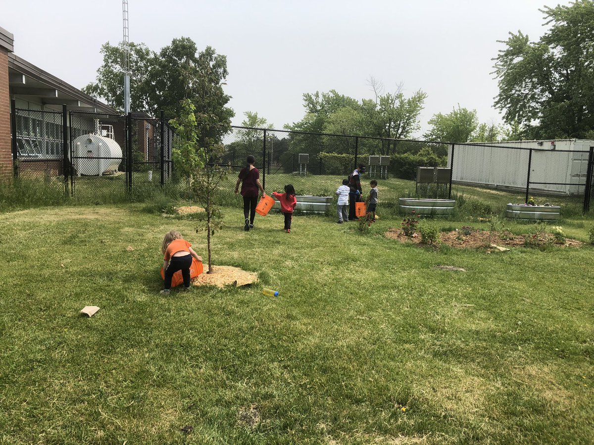 Mme Muntean (@lala79lavinia) on Twitter photo <a href="/MacvillePS/">MacvillePS</a> <a href="/RobinAPerri/">Robin Perri</a> watering our plants Kindies and Gr.8 in action. <a href="/PDSB_eco/">Peel EcoSchools</a> #eml <a href="/MacvillePS/">MacvillePS</a> <a href="/RobinAPerri/">Robin Perri</a> watering our plants Kindies and Gr.8 in action. <a href="/PDSB_eco/">Peel EcoSchools</a> #eml