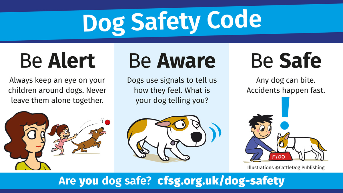 🐾 This #ChildSafetyWeek make sure you know how to be dog safe @CAPTcharity. 
Close supervision of children and dogs is key. For practical tips to ensure children and dogs can live safely together read: bit.ly/3WOcm0i 
#DogSafety