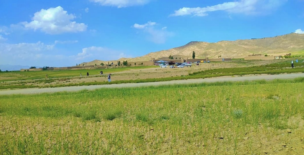 My native land in the Sitaram district of Paktia province 🇦🇫