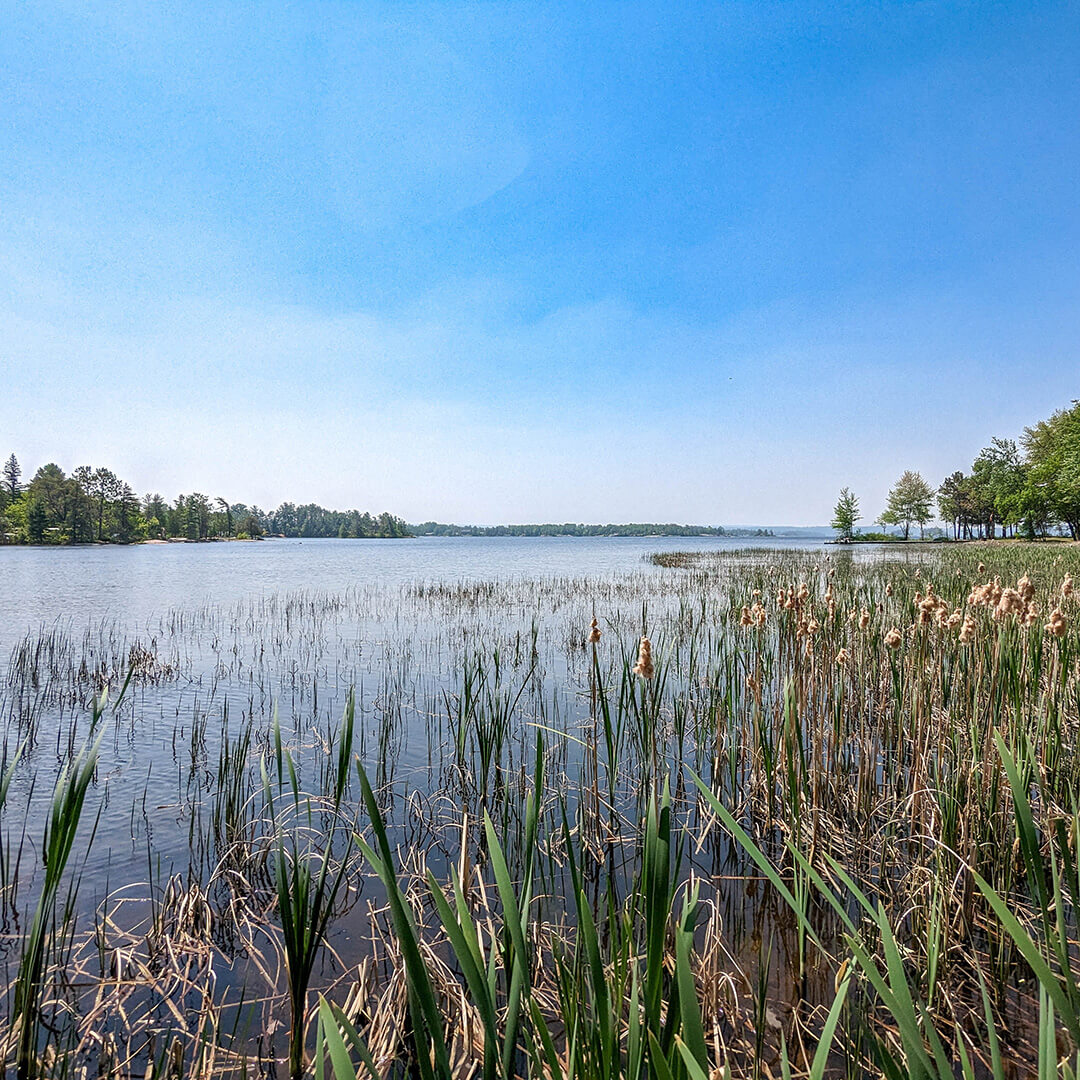 MuskyChasers's tweet photo. Took a drive this weekend and snapped this shot; just 12 more days until musky season kicks off! https://t.co/c474wDGf46