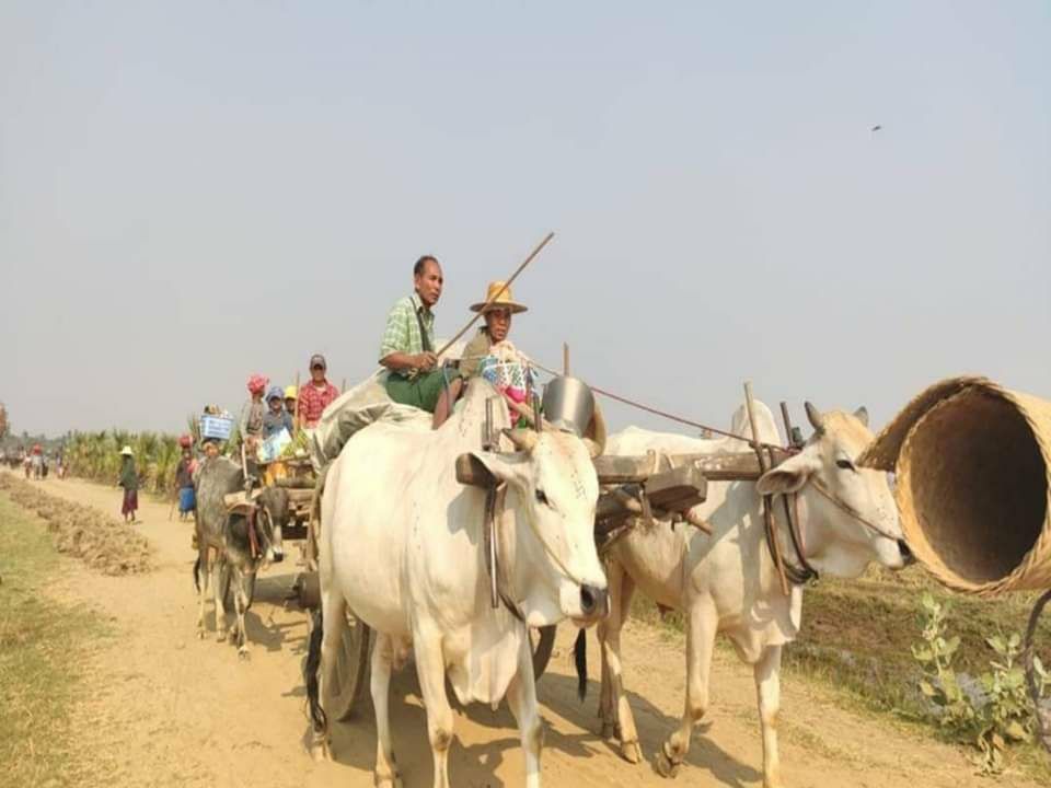 Over thousands of local residents from 10 villages had to displace as junta soldiers launched an offensive in Sagaing tsp, Sagaing division  yesterday.  #HelpMyanmarIDPs #WhatsHappeningInMyanmar