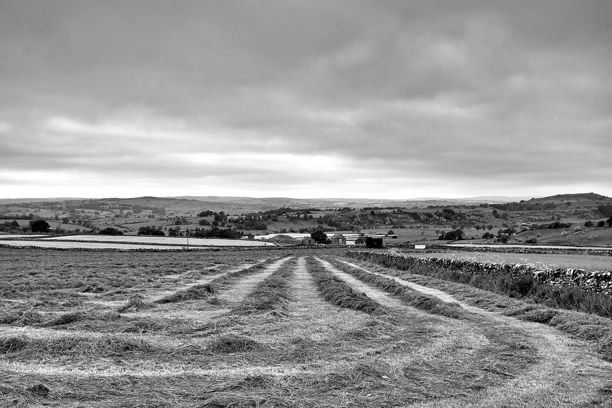 Field above the village of #Hartington in the #Derbyshire #PeakDistrict early this morning.
#blackandwhitephotography #landscapephotography #photography @vpdd