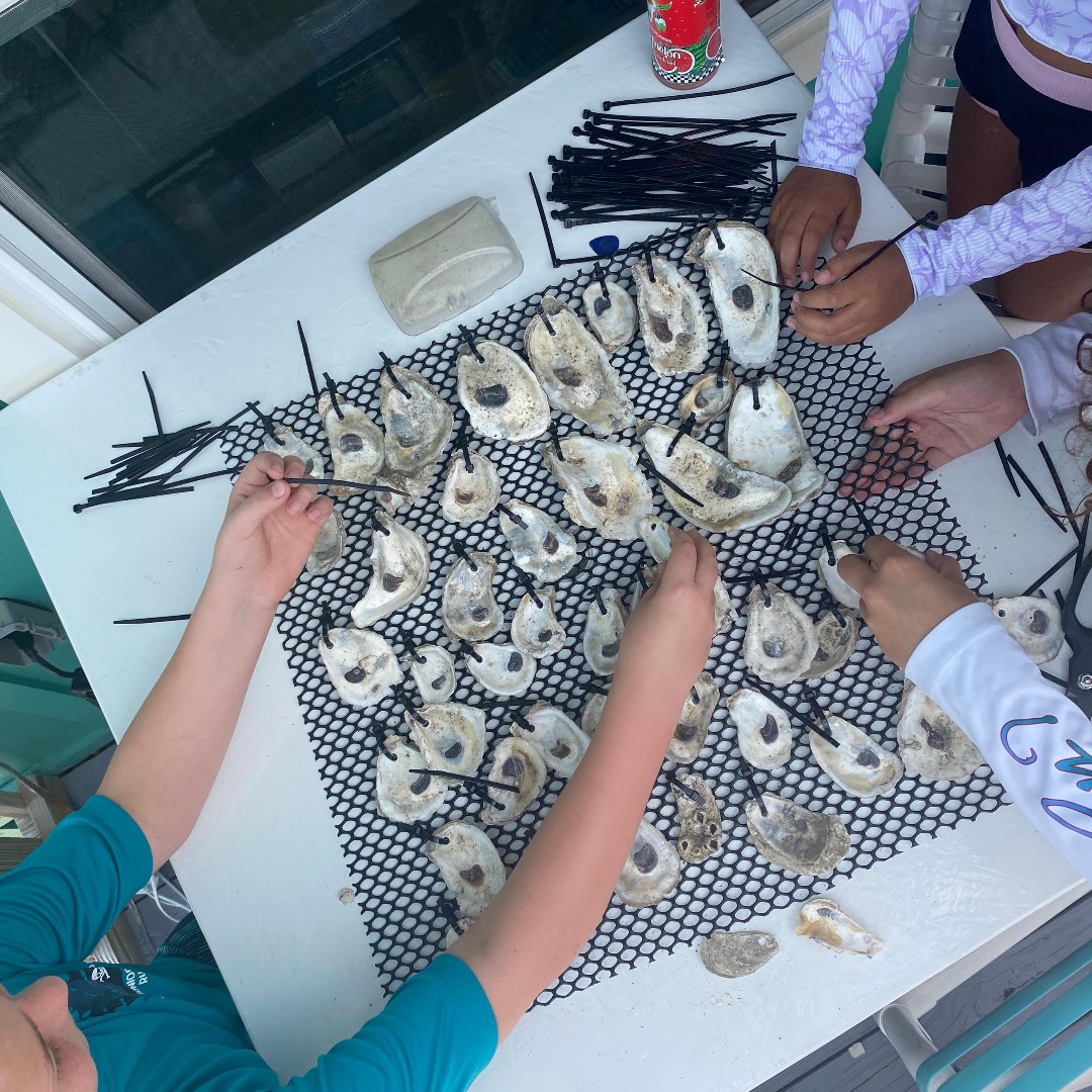 FLOceanographic's tweet photo. A local #GirlScout troop and Forest Grove Middle School students recently collaborated with our Research Department to create #oyster #restoration mats at Causeway Cove Marina.
Learn about our #LivingDocks Program ▶️ https://t.co/lktpNiEnhg
#Onelagoon #FilterFeeding #community https://t.co/QBYtsbpV2Q