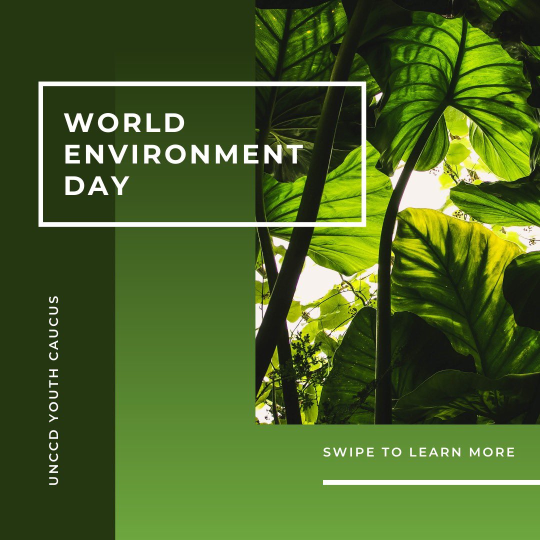 Happy #WorldEnvironmentDay 2023! 🌍💚 Today is a reminder that every #Action counts. 🫶

#United4Land #Youth4Land #WED #SustainableFuture #Youth4Climate #ActForNature #GoGreen