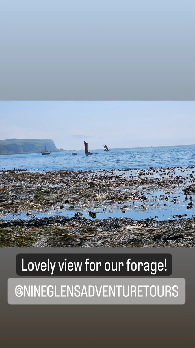 Regatta with tunes to entertain us during our forage. 
#rathlin #foraging #seaweed
