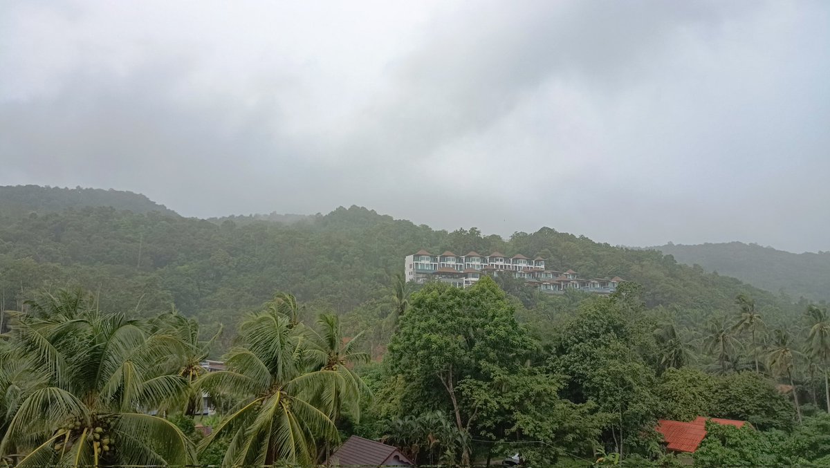 Rainy