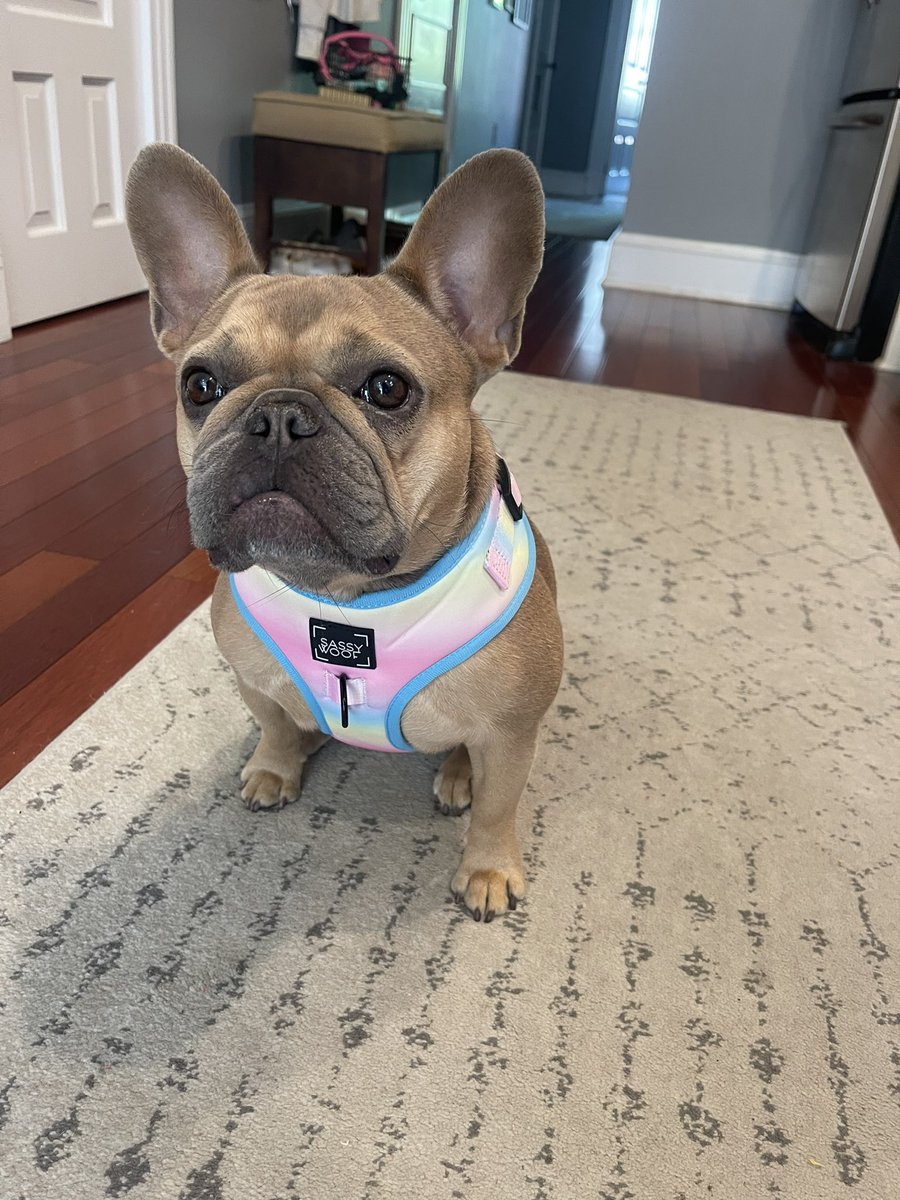 Mike VanDenHeuvel tweet media