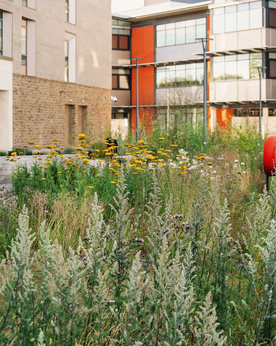 Sustainability at Lincoln tweet media