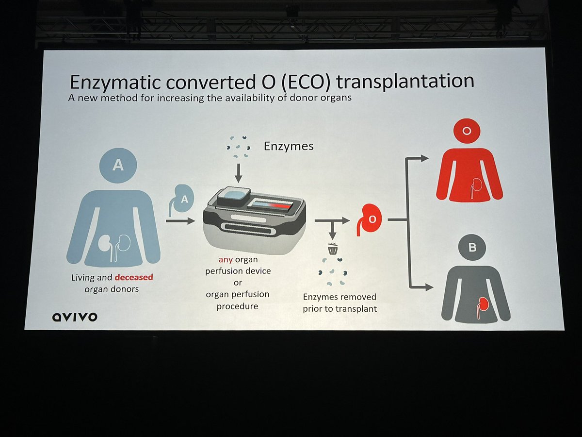 Carlo Alfieri tweet media