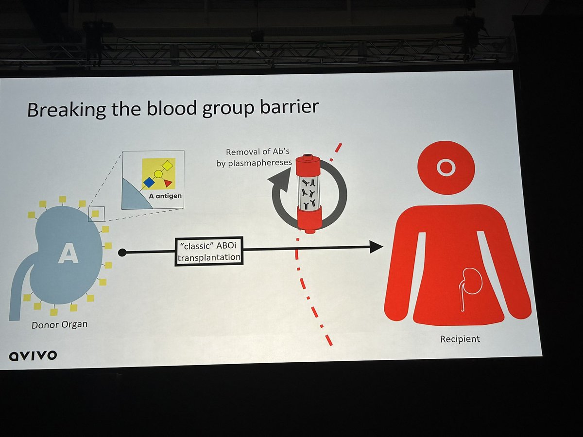 Carlo Alfieri tweet media