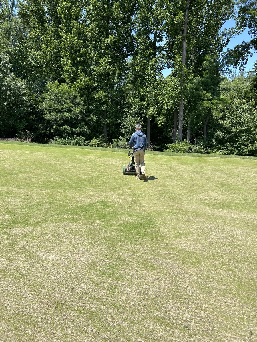 Nicholas  Surrette tweet media